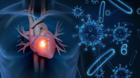 Heart with viruses illustration
