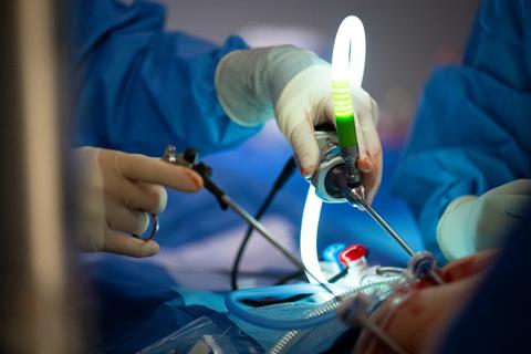 Surgeons performing bariatric surgery